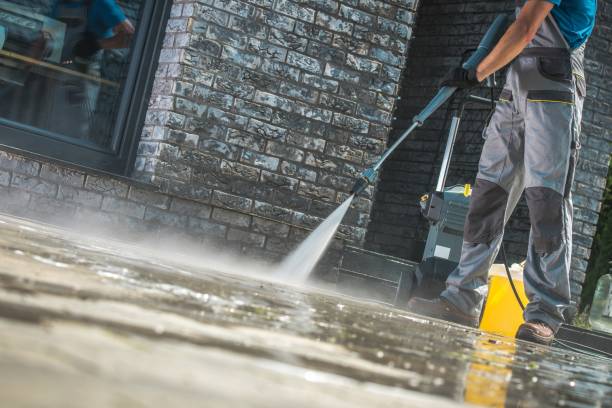 Animal Enclosure Cleaning in Battle Mountain, NV